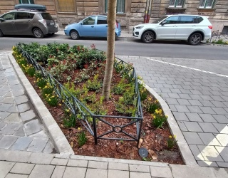 Budapest VI. kerület, Csengery utca két szakaszának (hrsz: 28771; 28772) fásításához és megújításához szükséges tervdokumentációk